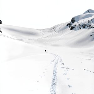 Alaska Travel Guide Kindle by Lonely Planet 2020-0